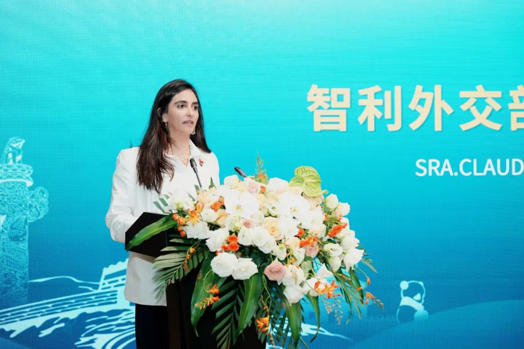 内容丰硕、硕果累累，中国（四川）—智利经贸投资合作论坛圆满进行